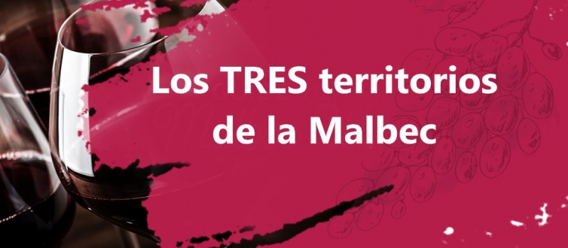 Malbec: Tres Territorios, Tres Encantos